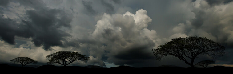 Rain clouds and black sky textured background. Danger storm cloud, Black cloud and thunder storm, Dark sky and motion clouds before rainy.
