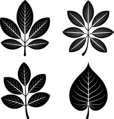 Fototapeta premium Graphic arrangement of four different black leaf silhouettes on white background