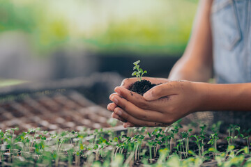 Black women, Family, farming, farming, cultivation, greenhouse