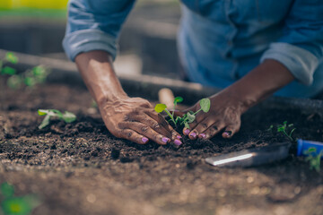 Black women, Family, farming, farming, cultivation, greenhouse