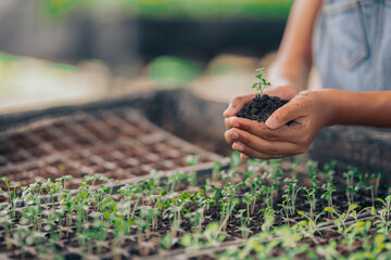 Black women, Family, farming, farming, cultivation, greenhouse