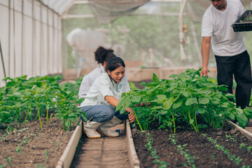 Group of young people  learning about farming, farming, and cultivation in a greenhouse.