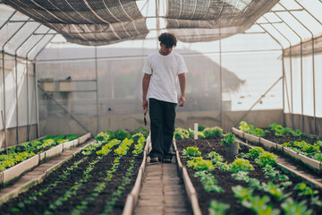 Young black man learning about farming, farming, and cultivation in a greenhouse.