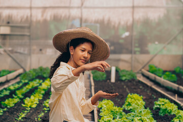 girl students test, research, land for agriculture, farming, household cultivation.