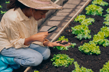 girl students test, research, land for agriculture, farming, household cultivation.