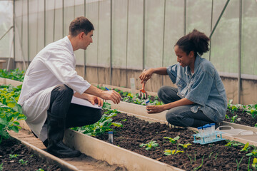 Teachers and students test and research soil for agriculture, farming, and cultivation in greenhouses.