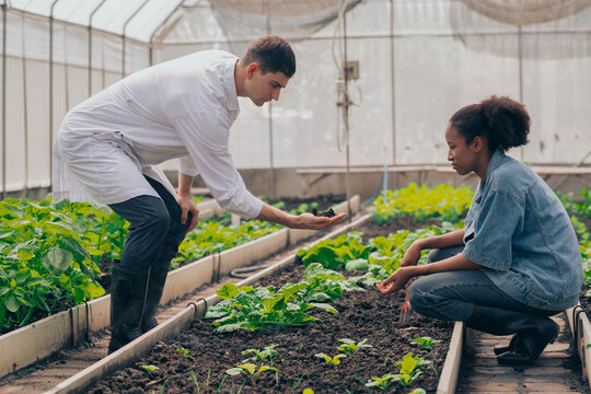 Teachers and students test and research soil for agriculture, farming, and cultivation in greenhouses.