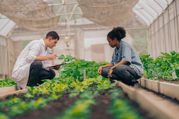 Young women and  man learning about farming, farming, and cultivation in a greenhouse.