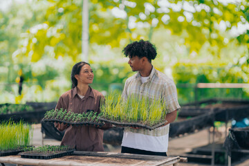 Young black man learning about farming, farming, and cultivation in a greenhouse.