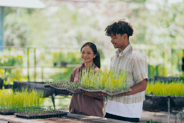 Young black man learning about farming, farming, and cultivation in a greenhouse.