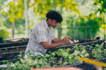 Young black man learning about farming, farming, and cultivation in a greenhouse.