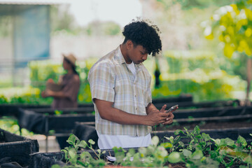Young black man learning about farming, farming, and cultivation in a greenhouse.