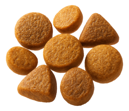 Assorted dry dog kibble pieces in circular and triangular shapes on transparent background.