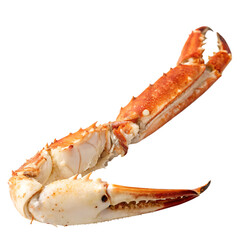 Cooked red crab leg cracked open to eat isolated on a transparent background