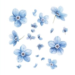 Delicate light blue forget-me-nots scattered