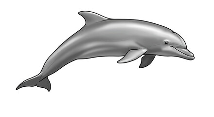 Obraz premium Isolated Dolphin Side Profile Artwork and Realistic Design