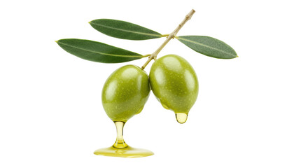 Isolated Green Olives on Branch Drizzled with Olive Oil