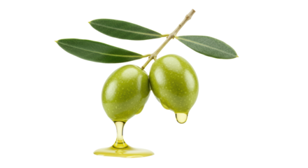 Isolated Green Olives on Branch Drizzled with Olive Oil