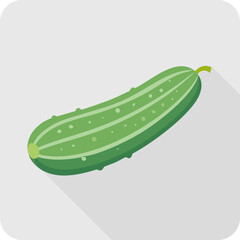 Green Cucumber Illustration on Gray Background.