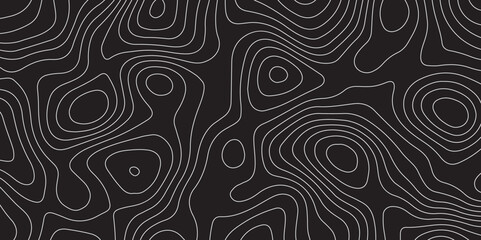 topography white and black  line map- Vector Background.