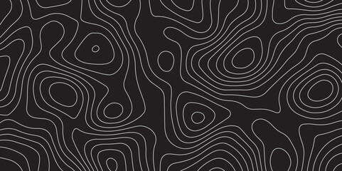 topography white and black  line map- Vector Background.