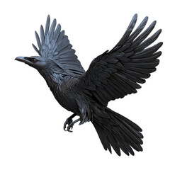Obraz premium Elegant raven in flight showcasing detailed feathers against a plain background