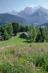chalet dans un paysage des Alpes françaises
