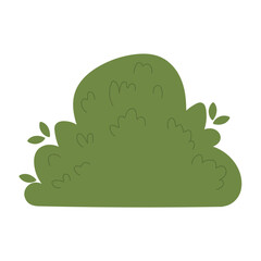 Decorative green plants in the form of garden shrubs, seasonal shrubs. To decorate a park, garden or green hedge.