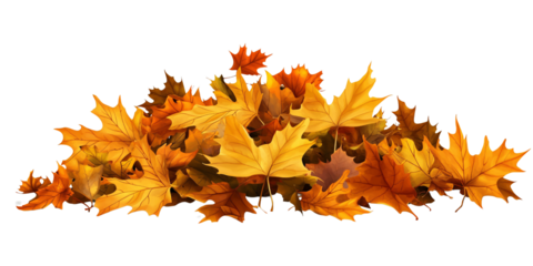 Pile of vibrant autumn maple leaves in warm yellow and orange tones, isolated on black background Concept of fall season, foliage, and nature