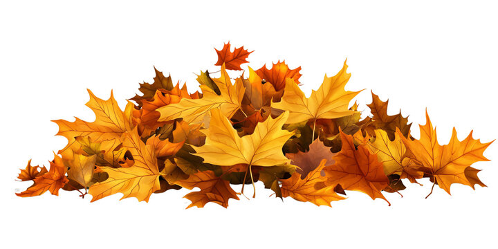 Pile of vibrant autumn maple leaves in warm yellow and orange tones, isolated on black background Concept of fall season, foliage, and nature