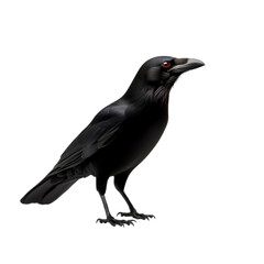 Obraz premium Black bird with striking red eyes standing on a dark background, symbolizing mystery and elegance