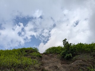 Rocky uphill hiking trail surrounded by green monsoon grass