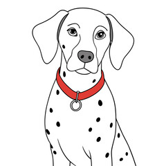 Dalmatian dog with red collar sitting against a white background, Concept of Animals  