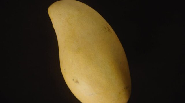Close-Up Dolly Slider Shot of Yellow Mango Falling and Rotating Mid-Air Against Black Background with Soft Lighting on Its Smooth Surface Tropical Fruit Freshness