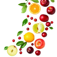 Naklejka premium Colorful assortment of fresh fruits arranged with green leaves on a white background