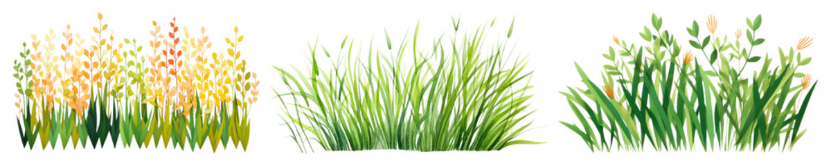 Fototapeta premium PNG Vibrant watercolor grass illustrations, element set on transparent background