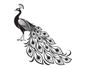 A black and white line drawing of a full peacock in profile view isolated on transparent background, PNG
