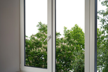View from the window of a blossoming chestnut tree in the garden.