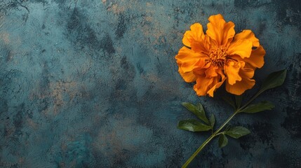 A vibrant orange flower with green leaves on a textured blue background. The flower is the central focus, with a detailed texture that adds depth to the image