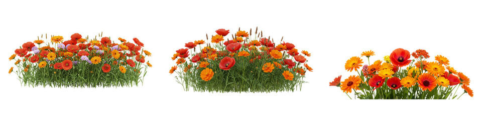 Blooming Floral Panorama: A vibrant display of colorful flowers flourishes, presenting a vivid spectacle of natural beauty and a panorama of floral elegance.