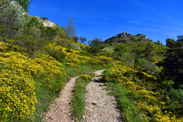 Hermitage of San Lorenzo in the Valderejo Natural Park, Basque Country, Spain