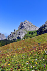 Flowering meadows and Mount Astxiki (785 m) in Urkiola Natural Park,