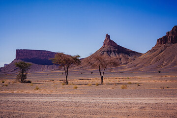 Naklejka premium canyon in Morocco near to Sahara desert