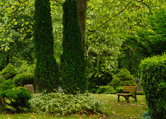 Im Park mit Bank und Bäumen, Regenwetter