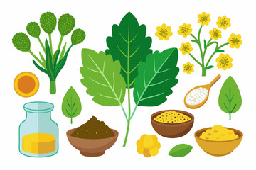 Botanical illustration of mustard plant with yellow flowers, green leaves, black and yellow mustard seeds, and seed pods. Herbal and culinary-themed flat lay design on a white background, ideal for ed