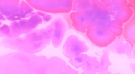 abstract pink background with bubbles