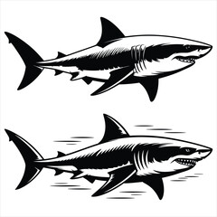 Obraz premium sharks vector illustration