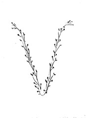 letters with a natural theme