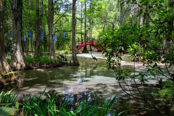 Tranquil wetland scene with cypress trees and a red bridge at Magnolia Plantation in South Carolina