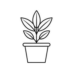 Green Plant in Pot – Indoor Houseplant for Home and Office Decor